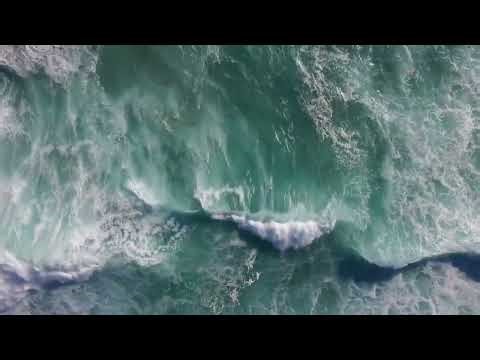 30 Minutes of Relaxing Ocean Waves with Seagulls | Calming Nature Sounds