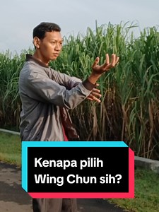 Kenapa Pilih Wing Chun? Alasan Unik Penggemar