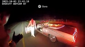 @confederate.ai #confederateai | Confederate Ai