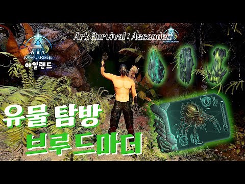 유물은 완전 정복! 아일랜드 - 브루드마더 | 아크 서바이벌 어센디드 ASA