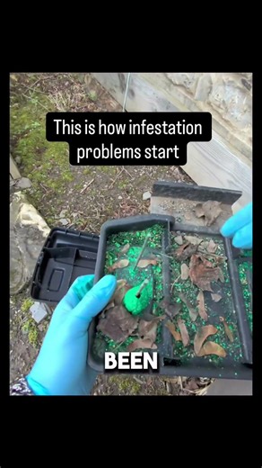This is how infestation problems start… What you’re seeing here is a rodent bait station