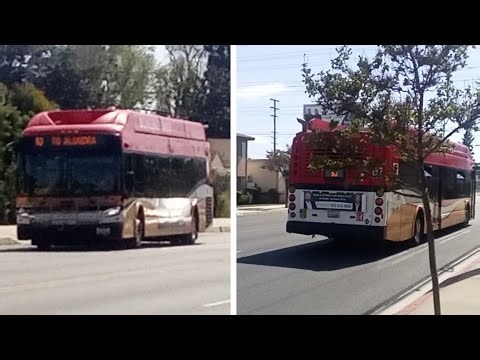 (Double Xcelsior Catch) Long Beach Transit #1831 & #1825 Route 93 Clark/Rose 