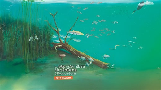 [EXPOSITION] 🎥 Parc naturel régional des Boucles de la Seine Normande Seine-Normandie Migrateurs Mission 1000 tonnes France Fédération départementale pêche GIP Seine-Aval se mobilisent autour des enjeux écologiques de la protection de la Seine en suivant les populations piscicoles, en veillant à la bonne santé des espèces, en identifiant les impacts de la qualité de l’eau sur la disparation/le retour des poissons dans le fleuve et les perspectives de développement de la faune aquatique. 👇🏼 Dé