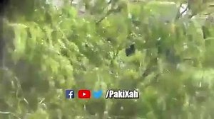 19K views · 310 reactions | Happens Only in Pakistan Another part  | Harami Legends | Facebook