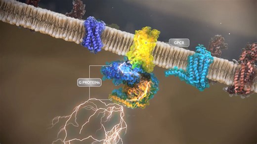 GPCRs科普来啦！生物小白也能懂的宝藏知识