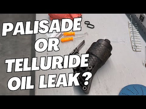 Hyundai Palisade or Kia Telluride Oil Leak Repair: DIY Guide to Save Money