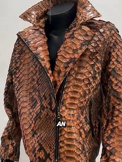 Python Jacket. #shorts #facts