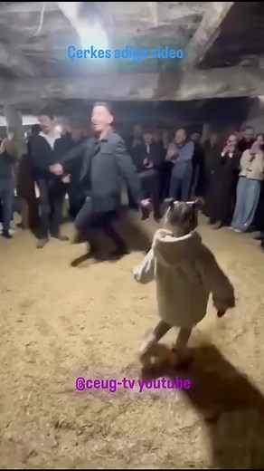 En minik gafagoe maşallah.🧿. 👏👏🫶 Canparçası tam zamanında damardan Keth ceugde tadını alıyor.. #küçük #şeşen gafagoe #uzunyayla #adigeceug #herkes #kesfet #kabardey | Göksel Kizilkaya