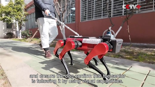 1.2K views · 37 reactions | Six-legged Chinese robot "guide dogs" can...