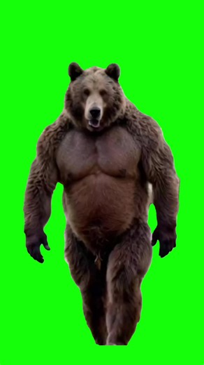 Bear walking green screen #meme #discord #greenscreen