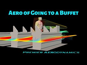 Aerodynamics of Being at a Buffet
