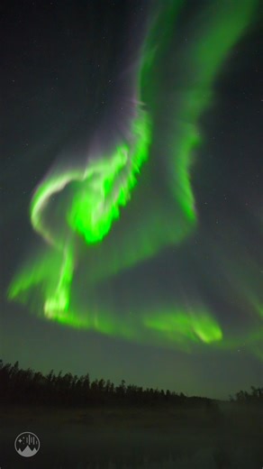 Super fast aurora 😱😱😱😱 | Night Lights Films