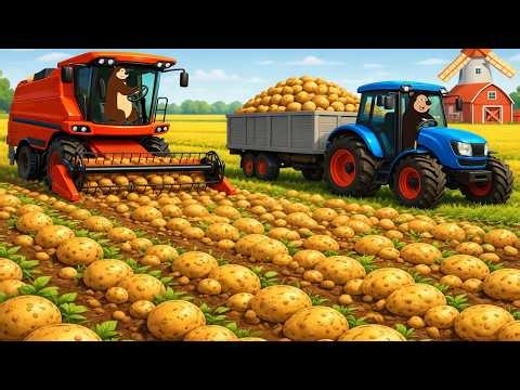 🐻🚜 Giant POTATO Harvest! 🥔🌾 Bear Farm Modern Agriculture Challenge | Funny Farm Animation