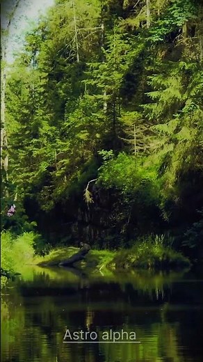 “Beautiful River Scenery | Calm River Flow | Nature Relaxing Video