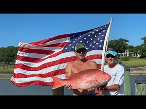 MONSTER Red Snapper **Catch Clean Cook**