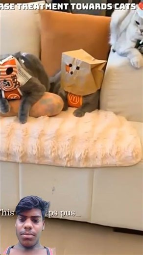 Be Kind To Cats 💔🥺 || #petlovers #shorts #cute #cat #emotional #kitten #kindness #pets