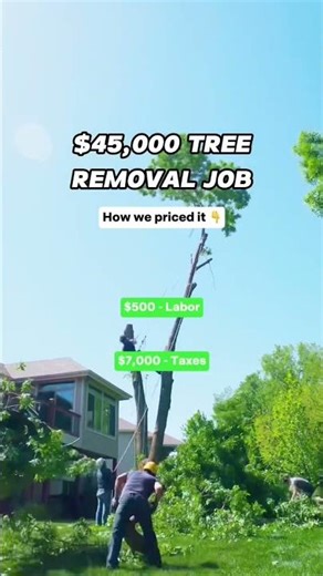 $45,000 Tree Removal Job