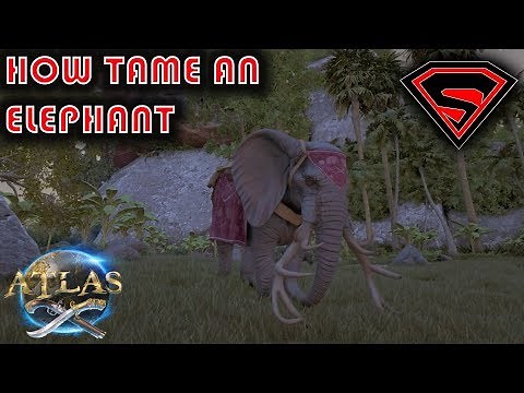 ATLAS HOW TO TAME AN ELEPHANT SOLO - ELEPHANT TAMING TRAP & ELEPHANT TAMING GUIDE