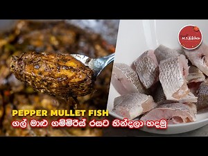 ගල් මාළු ගම්මිරිස් රසට හින්දලා හදමු | Sri lankan Gal Malu | Pepper Mullet Fish Sinhala Recipe