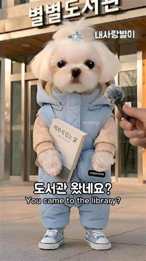 A Library Regular's Day 📚 "A Life Without Procrastination" | A Library Regular's Day #dog #humor ...