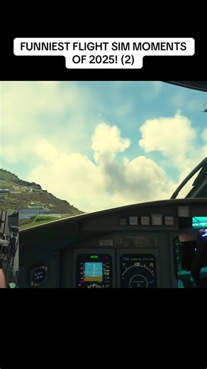 Hilarious Flight Simulator Moments from 2025