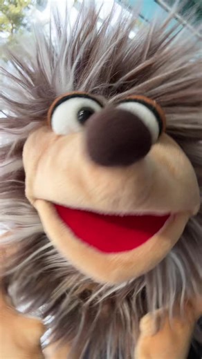 #foryou #foryoupage #fyp