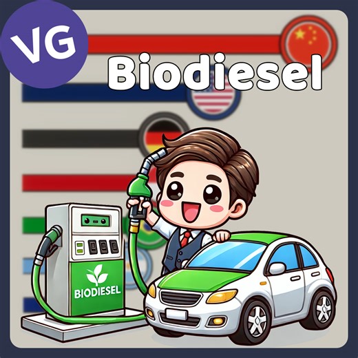 197K views · 1.2K reactions | The Largest Biodiesel Producers in the World. | VGraphs | Facebook