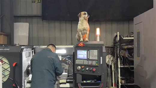 CNC Machining Techniques for Precision Projects