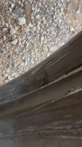 Making memories baby 😜 | Boosted Behavior