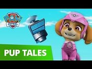 PAW Patrol - Pups Save a Crashing Satellite! - Rescue Episode - PAW Patrol Official & Friends!