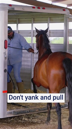 1M views · 14K reactions | A horse that won’t load isn’t being...