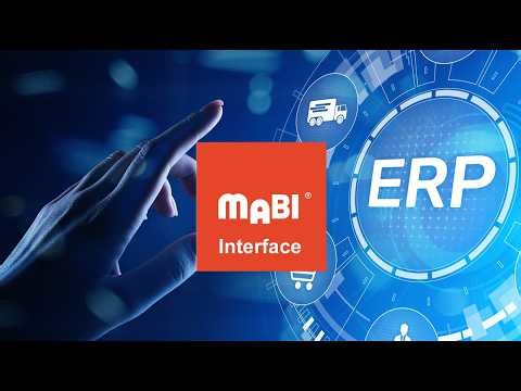 ERP Interface