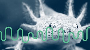 KQED | News, Radio, Podcasts, TV | Public Media for Northern California