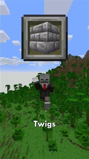 Mini Mod Reviews - Twigs #Twigs #minecraft #mod