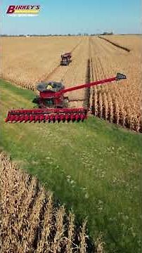 Introducing the CASE IH AF11 Combine | Birkey's Farm Store