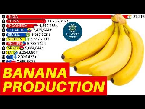🍌Who Produces the Most BANANA in the World? | Top 20 Countries
