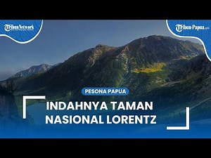 Melihat Indahnya Taman Nasional Lorentz, Hamparan Padang Rumput Indah & Gletser Indonesia Berada