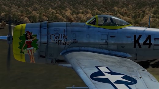 The final mission of Dottie Mae and the remarkable warbird that rose again