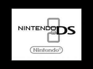 Nintendo DS Startup Screen 1 Hour