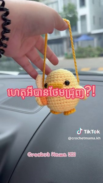 Create Your Own Crochet Hanging Duck