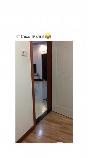 DailyAnimalReels | Funny / Cute Animal Content | Follow @daily.animal.reels for more! 🥰 via unknown (please dm) #cat #cats #catsofinstagram #catlover #catlife #catlovers #cats_of_world... | Instagram