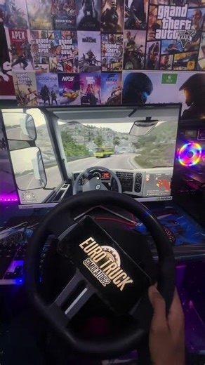#short ets2 playing with desi steering wheel #ets2