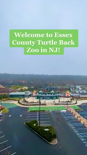 Explore Essex County Turtle Back Zoo in NJ!