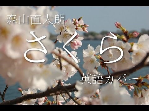 Moriyama Naotaro / Sakura (English Cover)