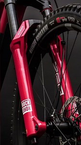 Fanatik Custom Bike: Forbidden Dreadnought E