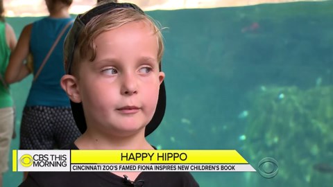 Fiona the Hippo now starring in new children's book