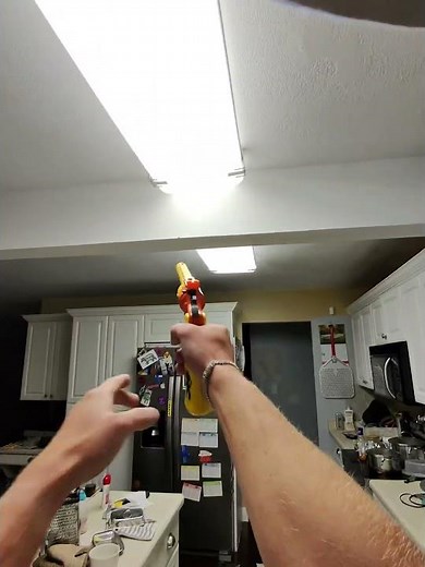 Shooting a fly with bug assault pistol