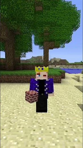 clay is the rarest block in beta minecraft