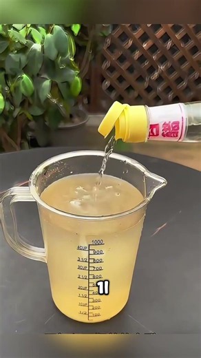 How to make your soil fluffier and more permeable without spending a dime 🌿🚀