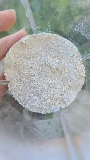 Eggshell Gardening Hack. How to use eggshells in the garden.